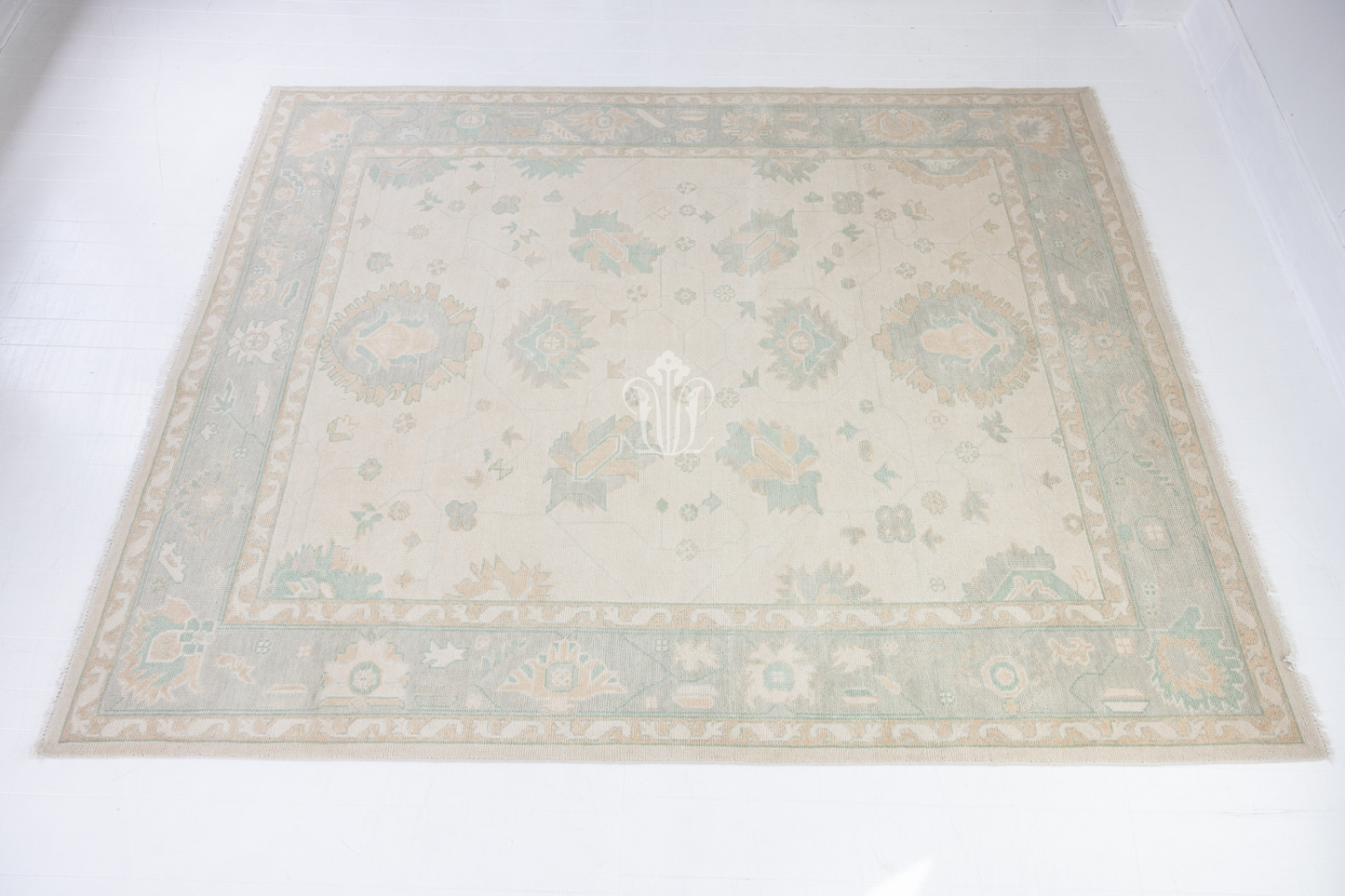 Weezie Modern Oushak Rug