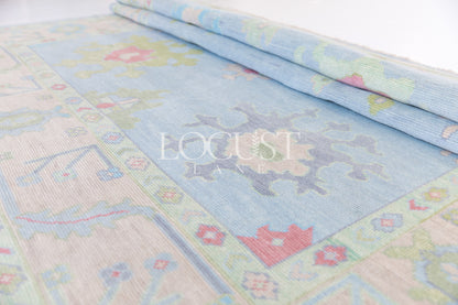 Clementine Modern Oushak Rug